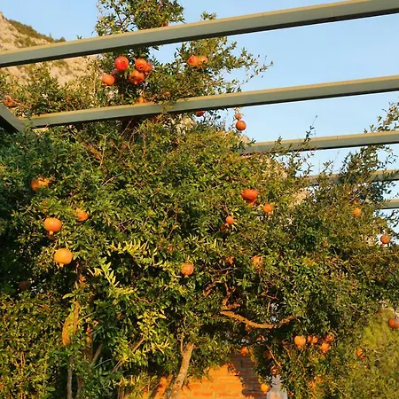 House Dida Mate - Cozy House In Nature With Heated Pool